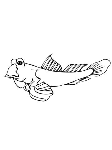 Mudskipper Fish Coloring Page